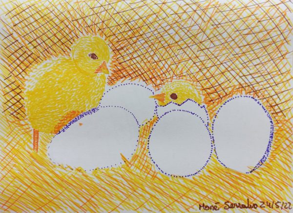 Vida. unos pollitos saliendo de los huevos